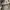 Realtree camouflage vintage outer photo 6