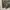 Realtree camouflage vintage outer photo 3