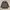 Realtree camouflage vintage outer photo 1