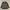 Realtree Camouflage Vintage Outer