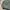 Vintage Nike x lebron james signature bomber jacket photo 5