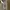 Japanese brand Streetwear Y2K Formal pants Pria gray photo 1