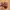 Genuine Leather belt  photo 4