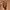 Genuine Leather belt  photo 4