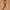Guy Laroche Leather belt Paris photo 1