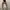 Evening dress Wanita white photo 4