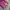 A Bathing Ape Color Camo Separate Shark Full Zip Hoodie Mens photo 4
