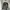 Levi's Streetwear Denim Jacket Pria Black