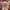 Casual Hat Pria white red photo 2