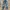 H&M LONG PANTS DENIM BIKERS  photo 1