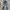 H&M LONG PANTS DENIM BIKERS 
