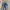 H&M LONG PANTS DENIM BIKERS  photo 3