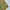 TBJ Nearby Casual Short Pria yellow photo 4