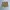TBJ Nearby Casual Short Pria yellow photo 2