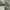 ZARA Casual Parka Wanita green photo 3