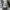 Stussy Streetwear Hoody Pria gray photo 4