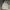 Stussy Streetwear Hoody Pria gray photo 1