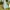 Fairy Casual Summer dress Wanita green blue photo 2