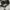 Adidas Sportswear Casual Sneakers Pria white black photo 4