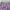 Plaid Skirt Purple Tartan Mini Skirt Import photo 7