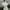 Fairy Coquette Evening dress Wanita white photo 2