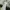 Fairy Coquette Evening dress Wanita white photo 1
