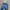 GUESS LONG PANTS DENIM FEDING BLUE  photo 4