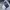 FLAIR HEIRS CARGO PANT CAMO photo 3