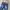 BEAN POLE LONG PANTS DENIM photo 5