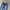BEAN POLE LONG PANTS DENIM photo 3