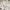 GAP Luxury Casual Windbreaker Wanita white photo 3