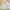 GAP Luxury Casual Windbreaker Wanita White
