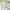 GAP Luxury Casual Windbreaker Wanita white photo 2