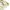 Lohnt knitted ss polo shirt cream kaos kerah short sleeve kn photo 5