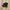 Vans Sk8 Low photo 1