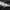 Longsleve Guess Small logo Original photo 4