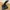 Logitech Attack 3 Joystick