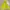 Uniqlo Streetwear Casual Windbreaker Wanita Green