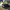 vans sk8 low contrast  photo 3