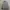 TVW HOODIE NOT JNCO SOHK