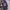 HOODIE ROLLING STUDIOS photo 1