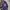 HOODIE ROLLING STUDIOS photo 2