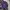 HOODIE ROLLING STUDIOS photo 4