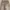 Vintage Jeans Pria brown photo 4