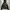 ZIPPER HOODIE FULL PRINT WEED JAPANESE photo 1