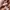 Zara Streetwear Jeans Pria brown photo 6