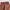 Zara Streetwear Jeans Pria brown photo 2