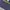 NFL Los Angles Rams Super Bowl LIVI Champion photo 3