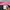 y2k vtg Rip Curl Boardshorts  photo 8