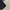 THISISNEVERTHAT NOT LMC STUSSY NIKE DICKIES CARHAT UNIQLO  photo 3